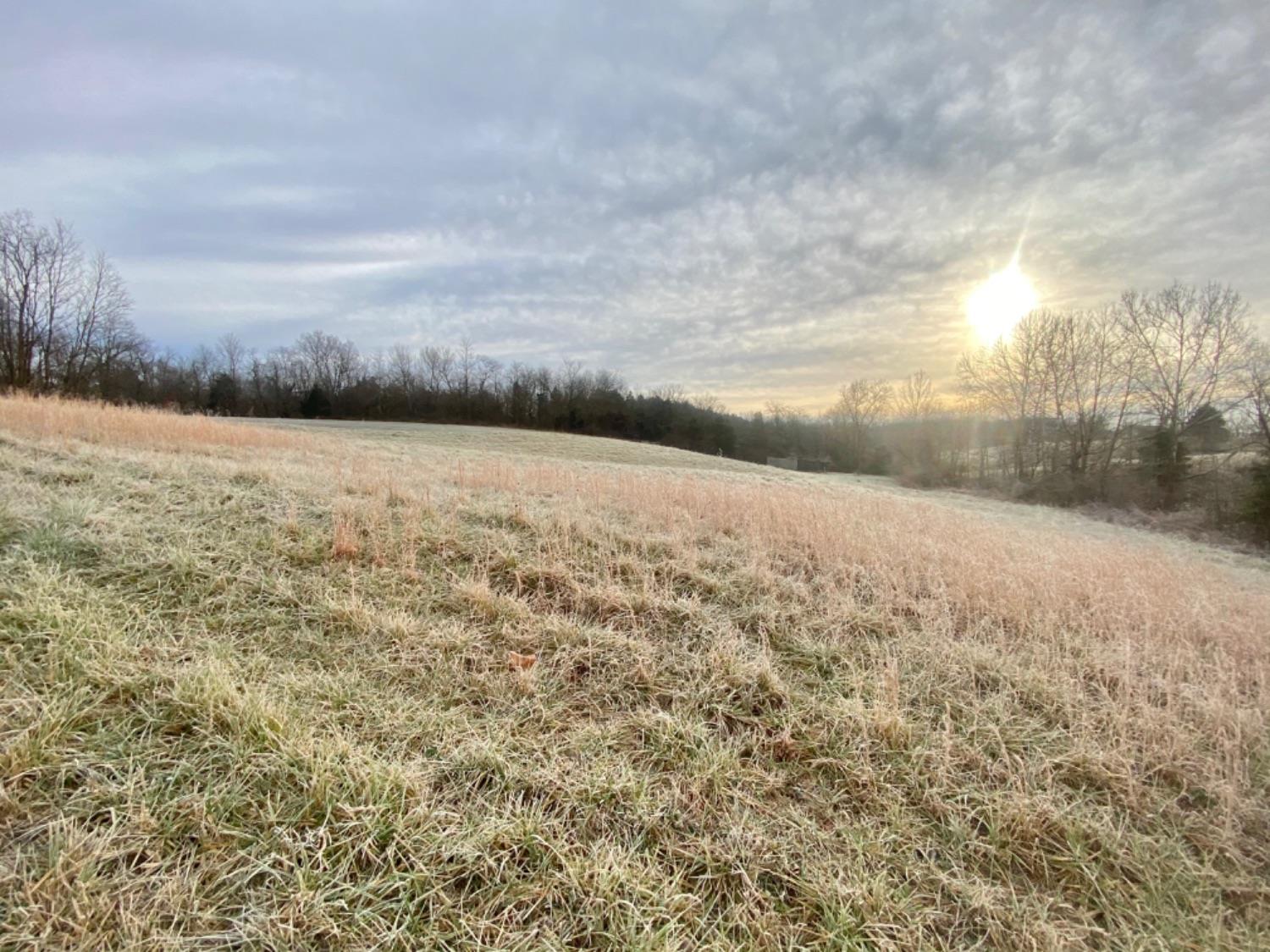10998 County Farm Road Aurora, IN 47001 - Photo 8 of 14 Gallery Image 8