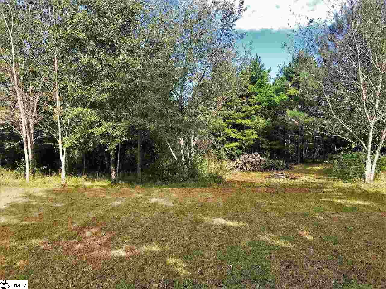 454 Davis Trading Post Road Chesnee, SC 29323 - Photo 25 of 25