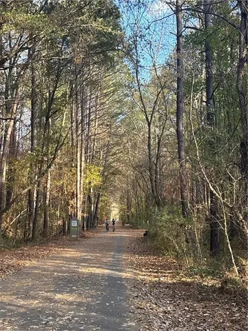 a view of a yard with a trees