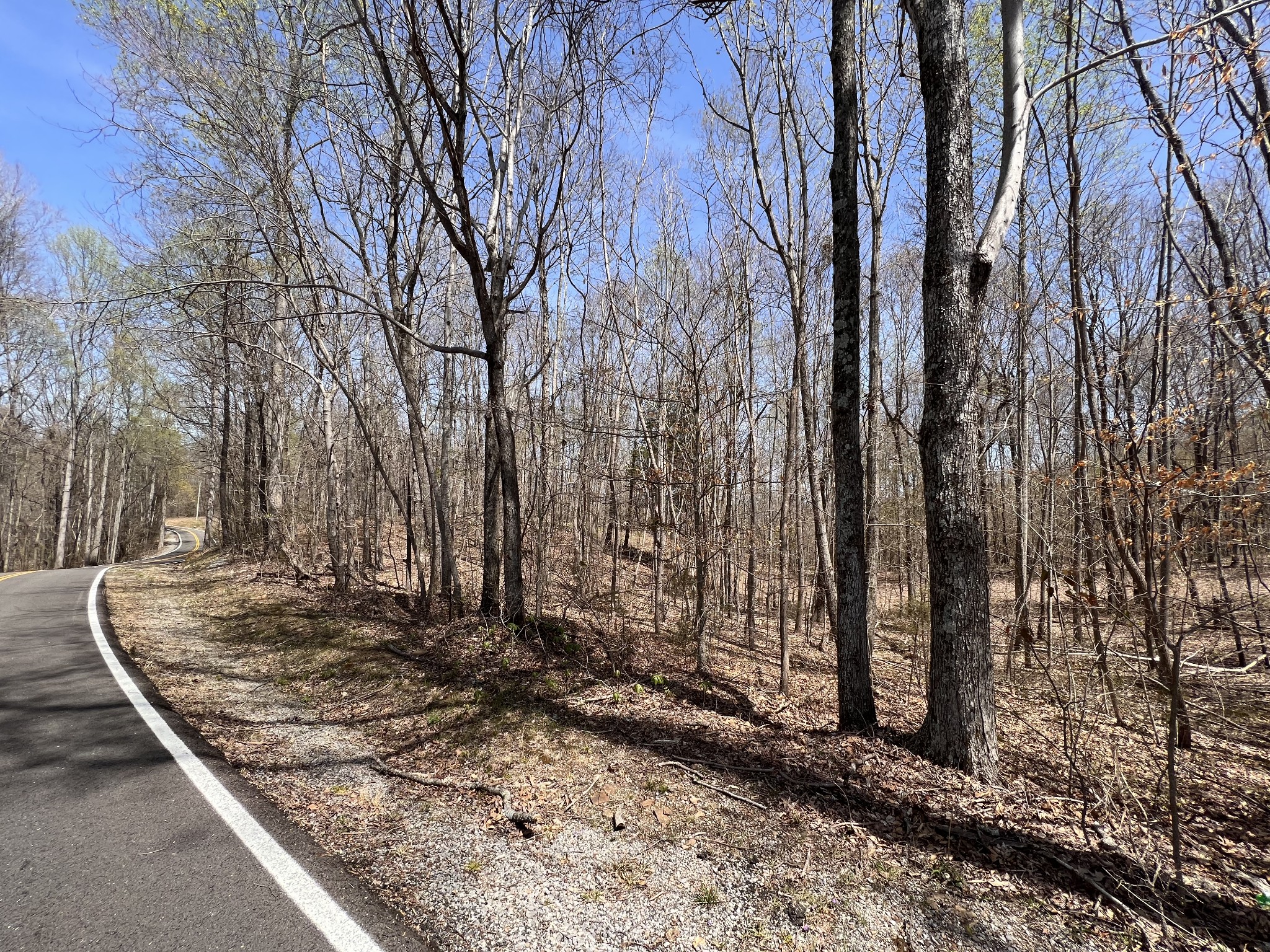 0 Tandy's Knob Road Doyle, TN 38559 - Photo 5 of 9 a view of a backyard with large trees