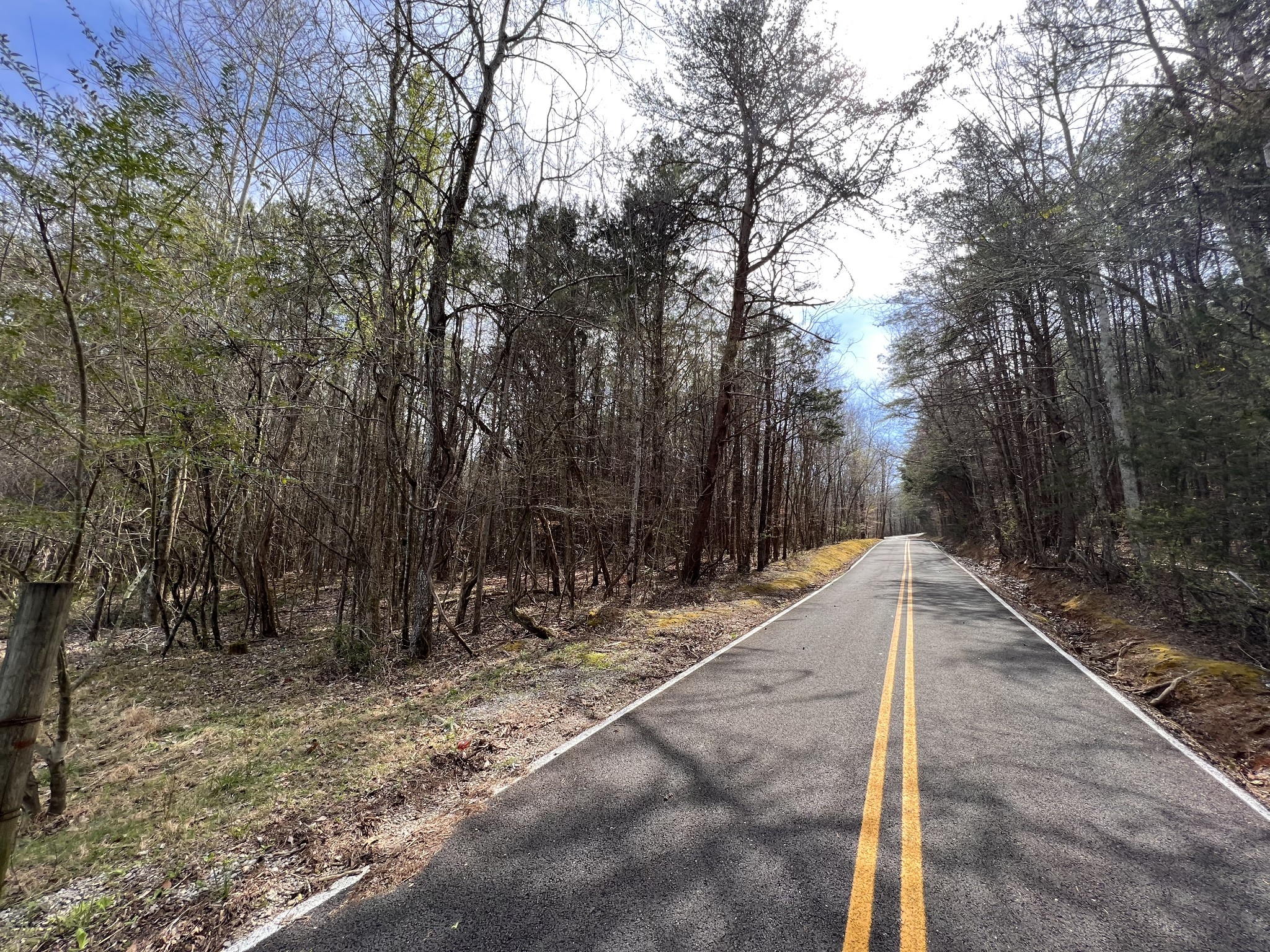 0 Tandy's Knob Road Doyle, TN 38559 - Photo 6 of 9 a view of a backyard with large trees