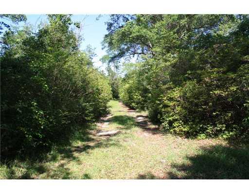0 Allen Road Bush, LA 70431 - Photo 2 of 10 Gallery Image 2