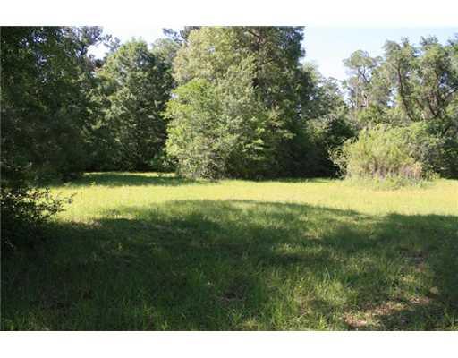 0 Allen Road Bush, LA 70431 - Photo 3 of 10 Gallery Image 3