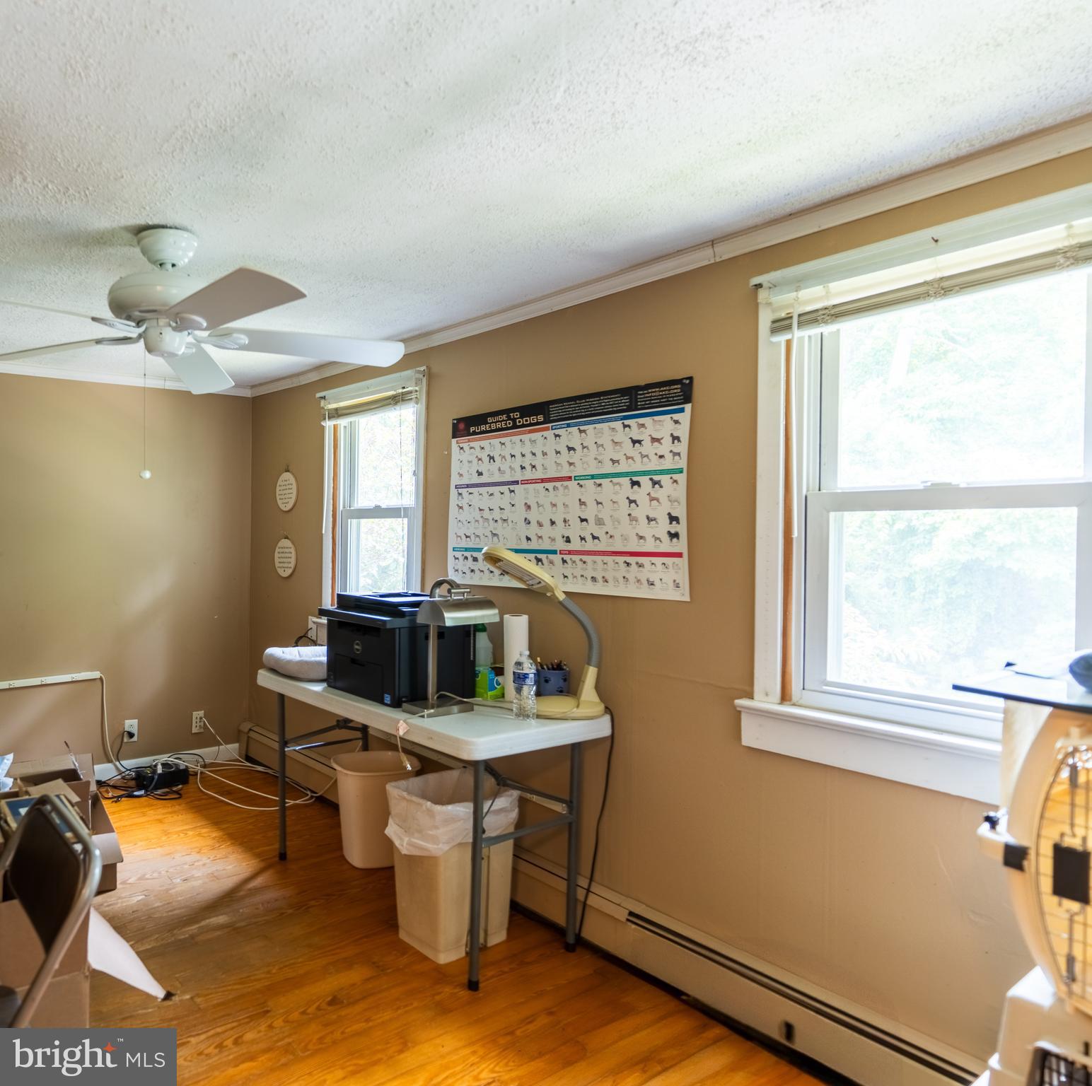 713 Monmouth Road Chesterfield, NJ 08515 - Photo 25 of 25 a room with furniture and a window