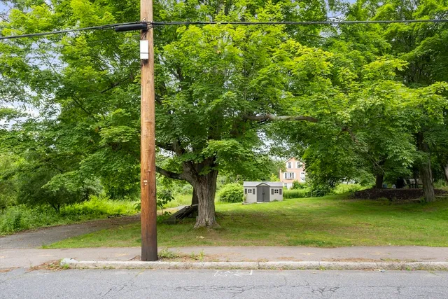 a view of a yard with a tree