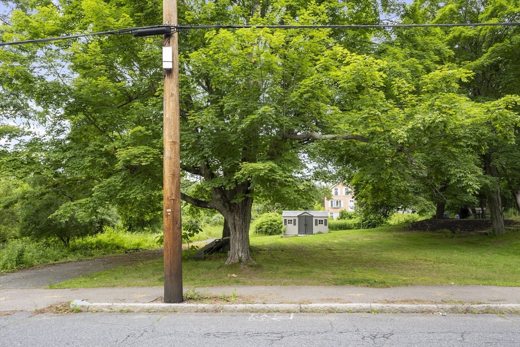 a view of a yard with a tree