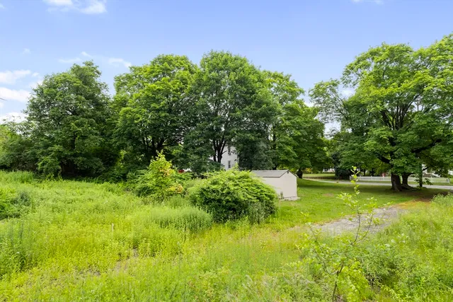 a view of a garden with a building in the background