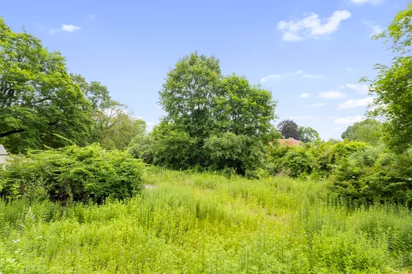 a view of a garden