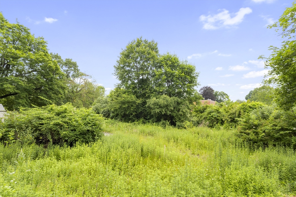 35 R Whiting Street North Attleboro, MA 02760 - Photo 16 of 16 a view of a garden