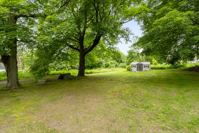a view of a trees with a yard