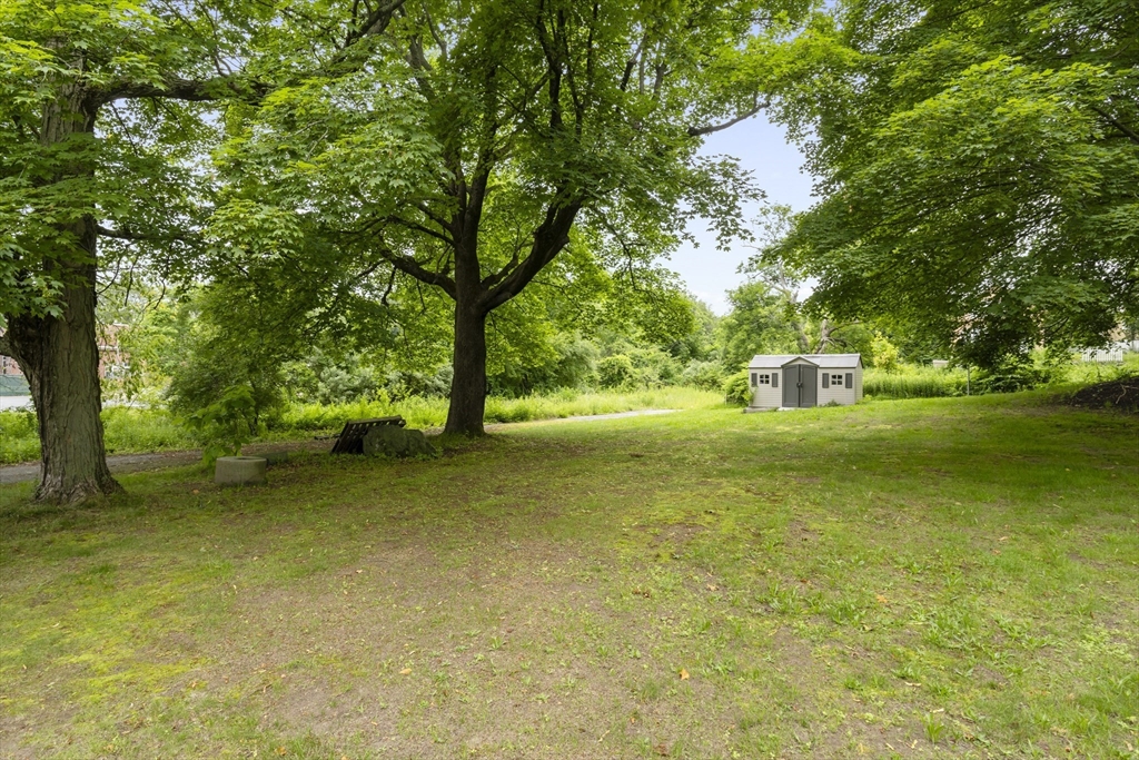 35 R Whiting Street North Attleboro, MA 02760 - Photo 4 of 16 a view of a trees with a yard