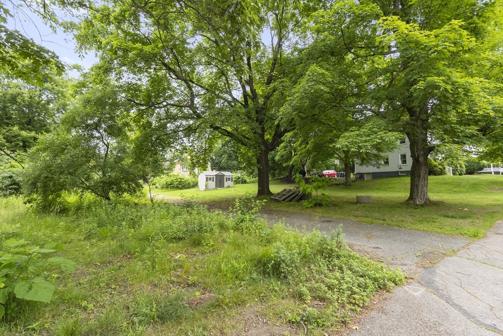 35 R Whiting Street North Attleboro, MA 02760 - Photo 5 of 16 a view of a yard with a tree