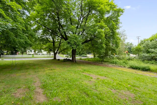 a view of field with trees