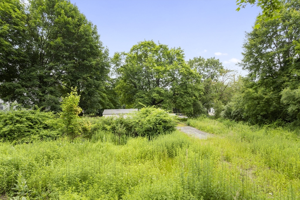 35 R Whiting Street North Attleboro, MA 02760 - Photo 8 of 16 a view of a lush green space
