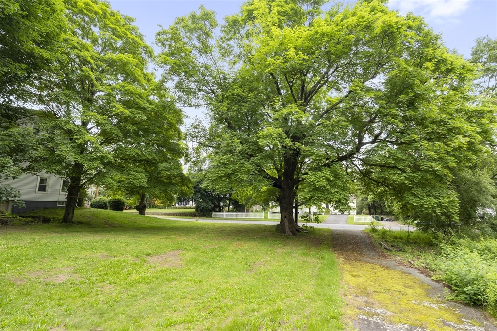 35 R Whiting Street North Attleboro, MA 02760 - Photo 9 of 16 a view of a park with large trees