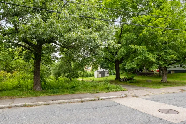 a backyard of a house with plants and large trees