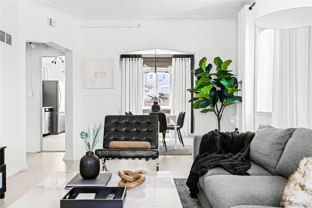 a living room with furniture plant and a window
