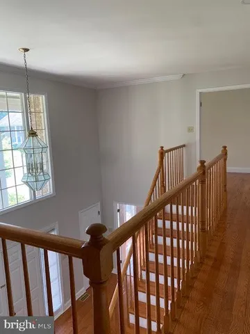 a view of a yard with plants