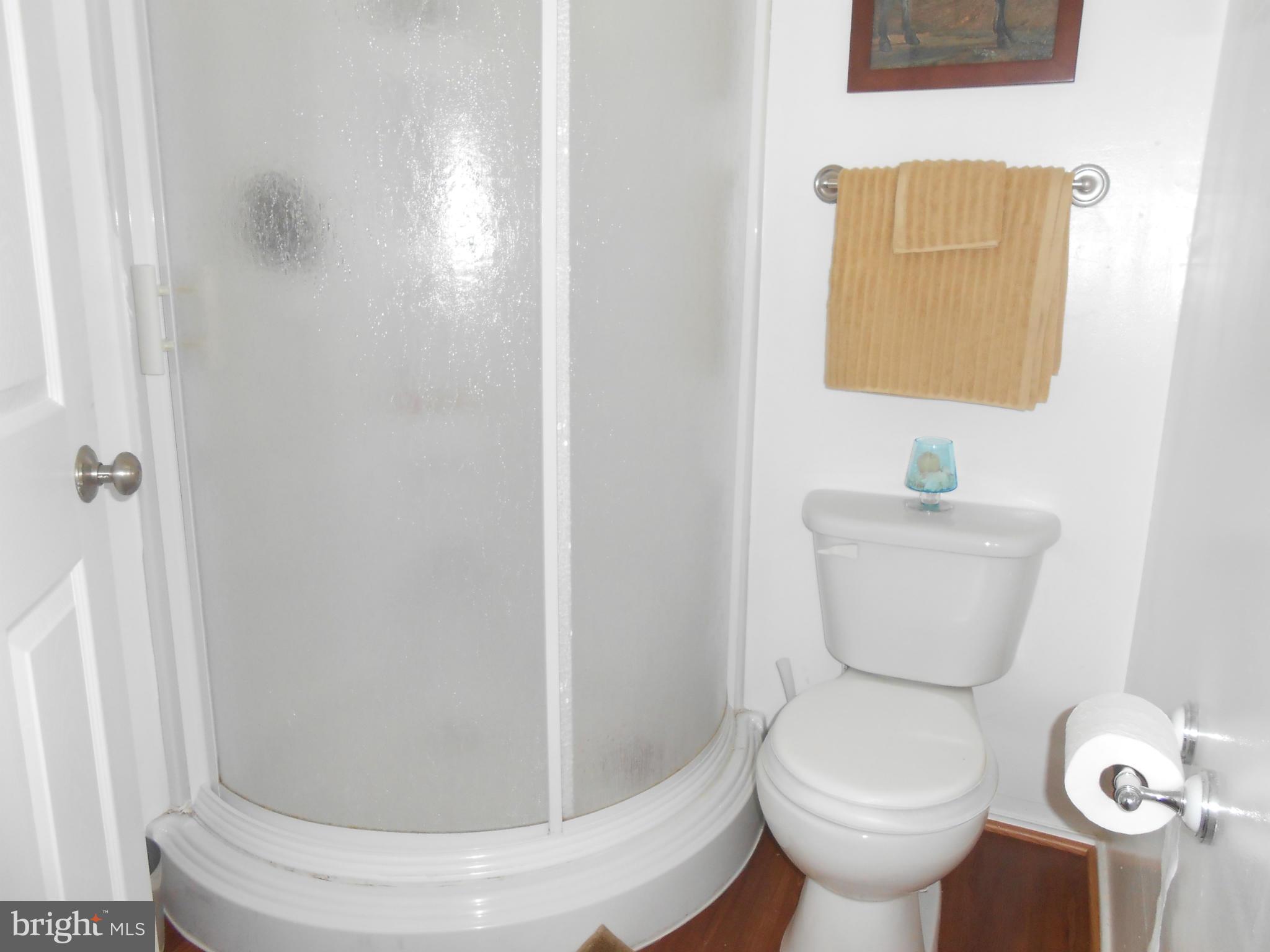 244 Oak Heights Road Front Royal, VA 22630 - Photo 11 of 30 2nd Master Bath