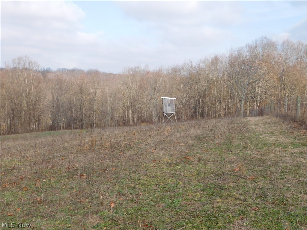 75733 Science Hill Road Newcomerstown, OH 43832 - Photo 14 of 22 Gallery Image 14