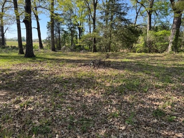 785 Lake Hardeman Road Hickory Valley, TN 38042 - Photo 4 of 10 a view of outdoor space with trees