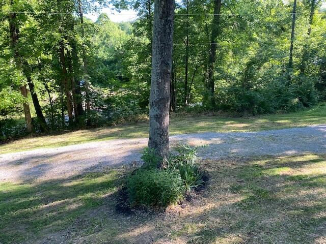 1725 Clarks Cr Road Dry Ridge, KY 41035 - Photo 28 of 50