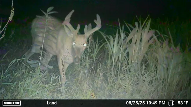 $125,000 | 2767 Highway 113, Waubun, MN 56589