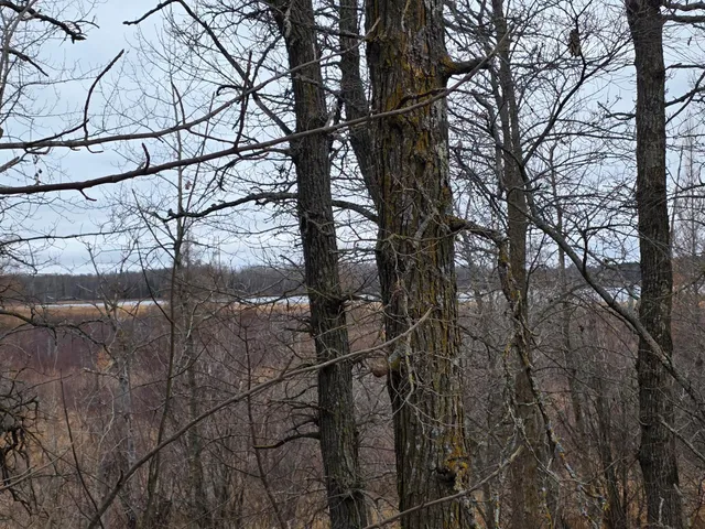 $125,000 | 2767 Highway 113, Waubun, MN 56589