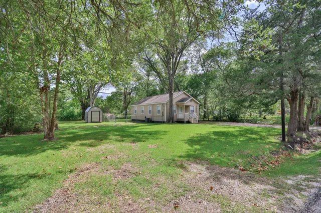 a backyard of a house with plants and large trees