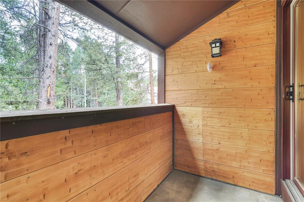 800 Columbine Road, Unit B9 Breckenridge, CO 80424 - Photo 19 of 25 a view of outdoor space with sliding window