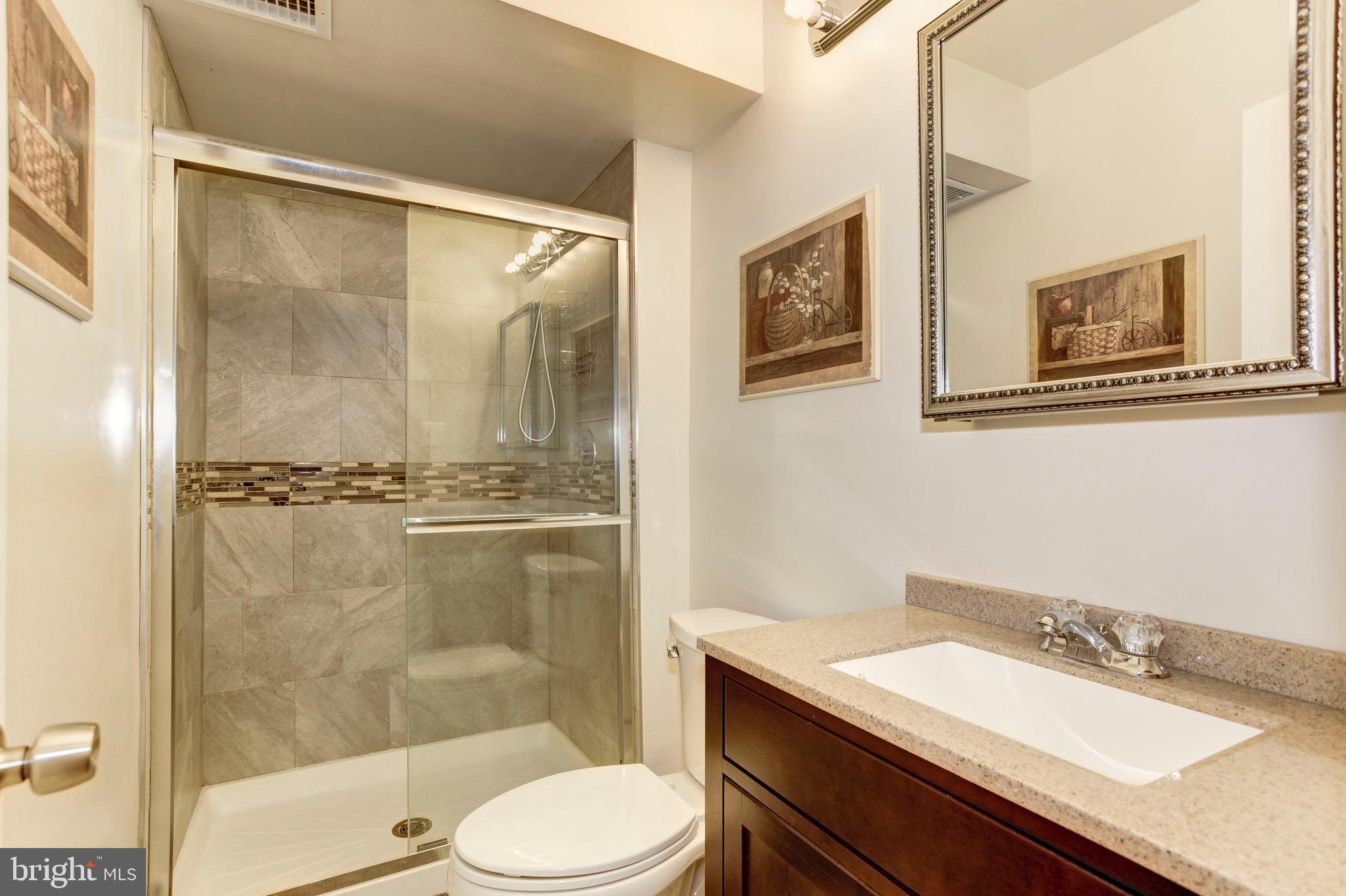 9010 Triple Ridge Road Fairfax Station, VA 22039 - Photo 38 of 59 Lower Level Bathroom
