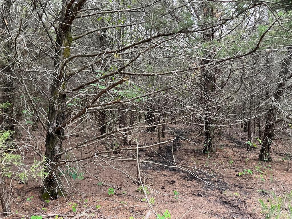 24200 County Road Roxton, TX 75477 - Photo 11 of 23