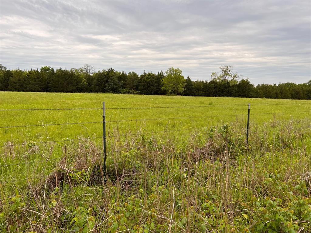 24200 County Road Roxton, TX 75477 - Photo 13 of 23