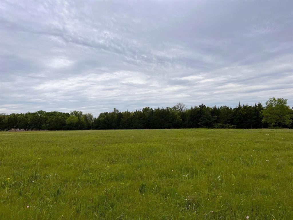 24200 County Road Roxton, TX 75477 - Photo 15 of 23