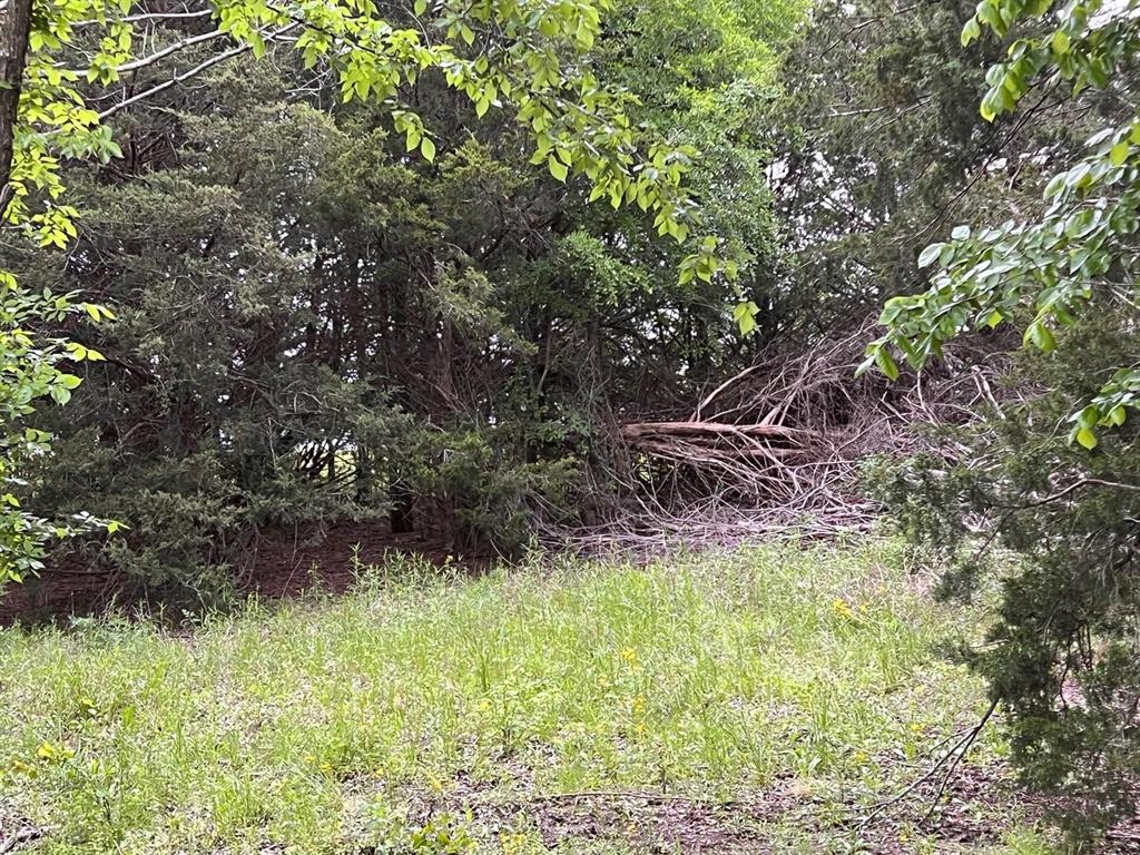 24200 County Road Roxton, TX 75477 - Photo 17 of 23