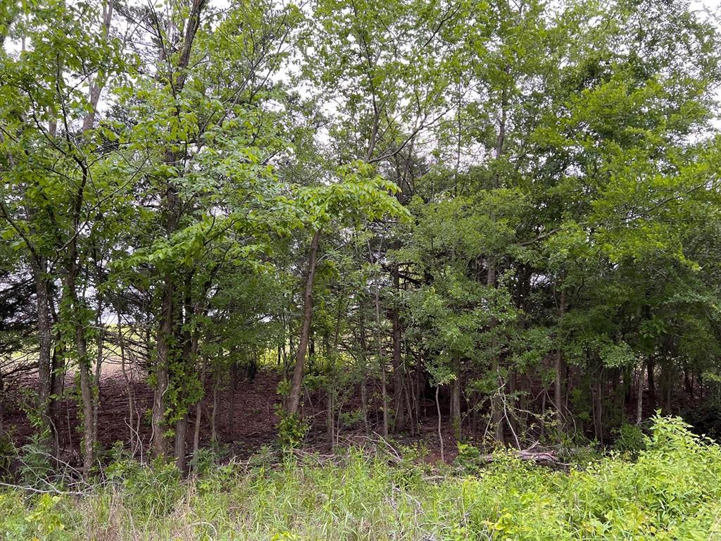 24200 County Road Roxton, TX 75477 - Photo 18 of 23