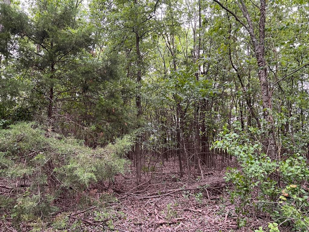 24200 County Road Roxton, TX 75477 - Photo 19 of 23