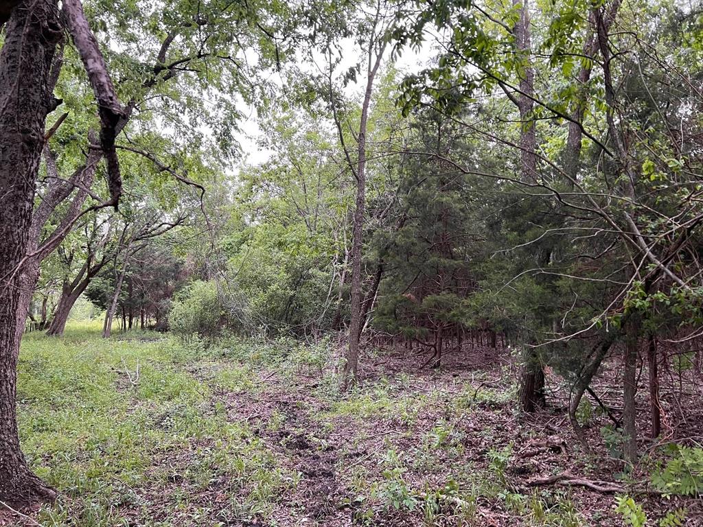 24200 County Road Roxton, TX 75477 - Photo 20 of 23