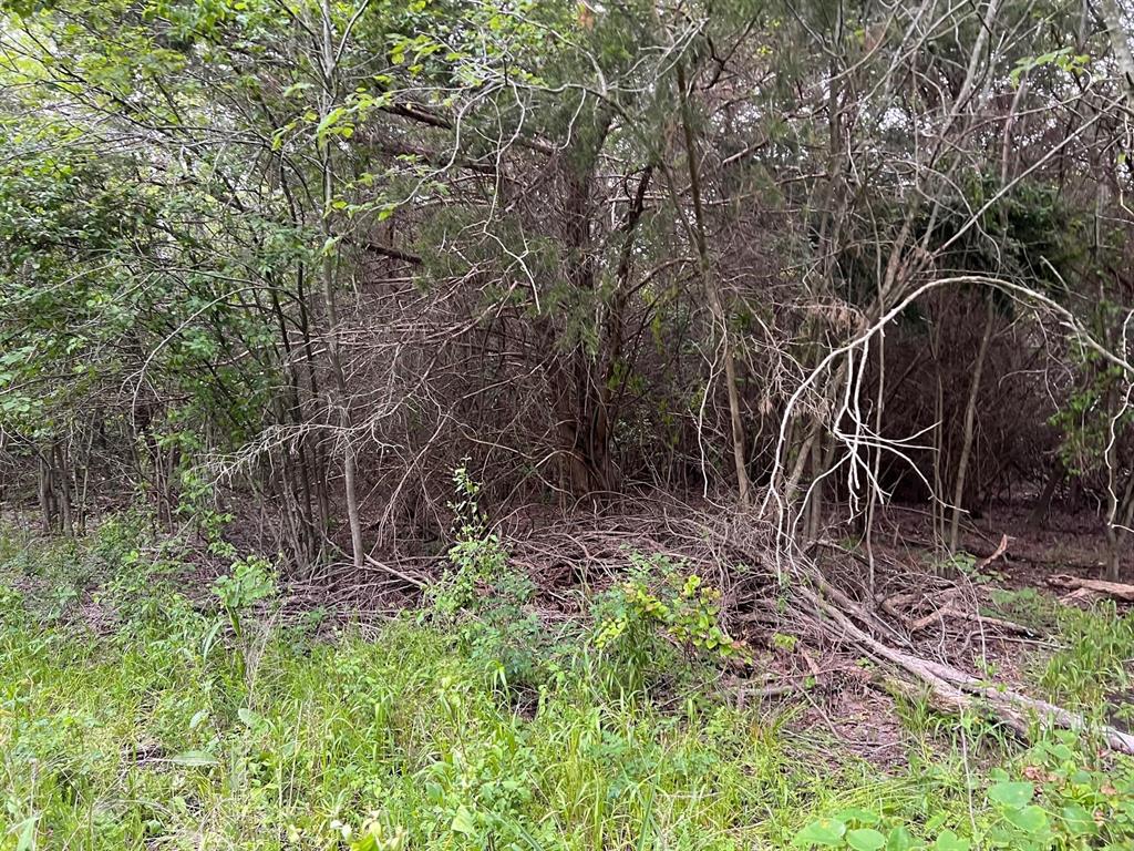 24200 County Road Roxton, TX 75477 - Photo 22 of 23