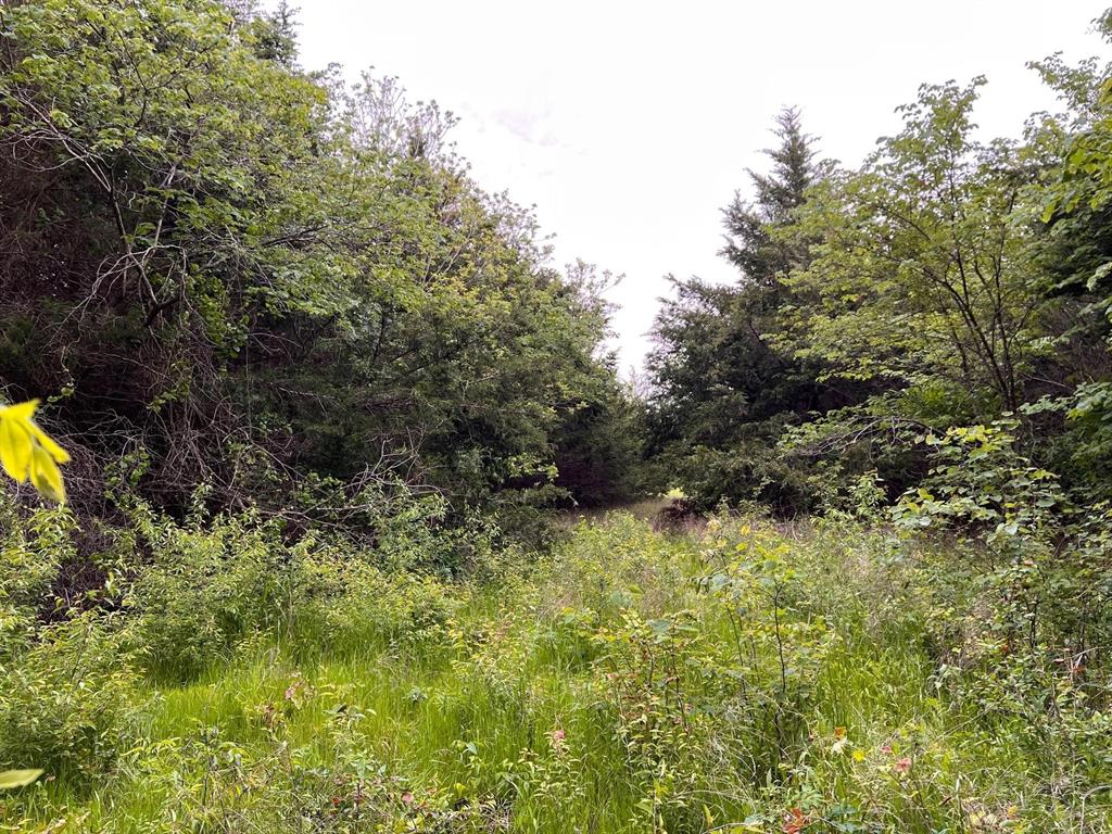 24200 County Road Roxton, TX 75477 - Photo 23 of 23