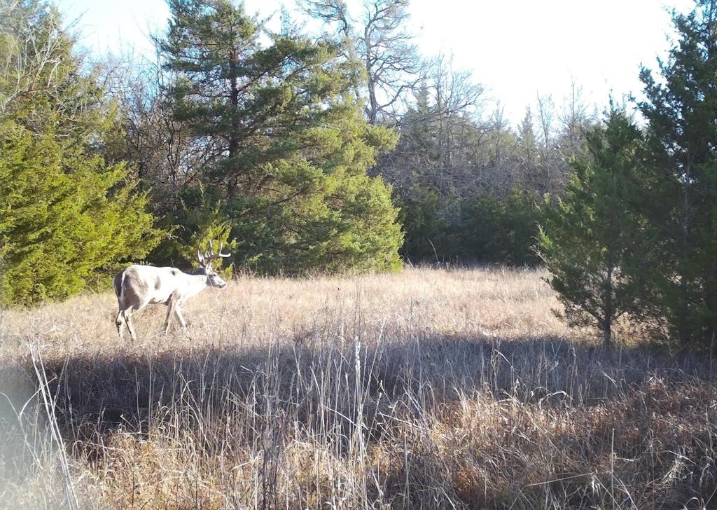 24200 County Road Roxton, TX 75477 - Photo 4 of 23
