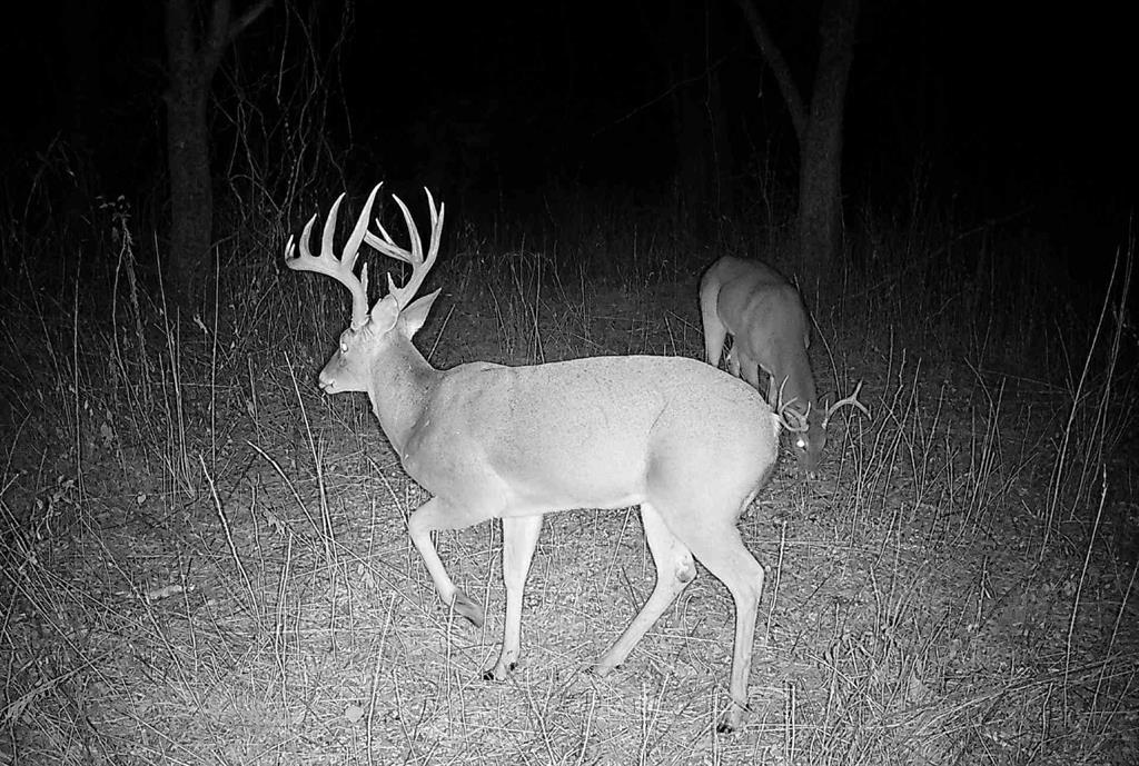 24200 County Road Roxton, TX 75477 - Photo 8 of 23