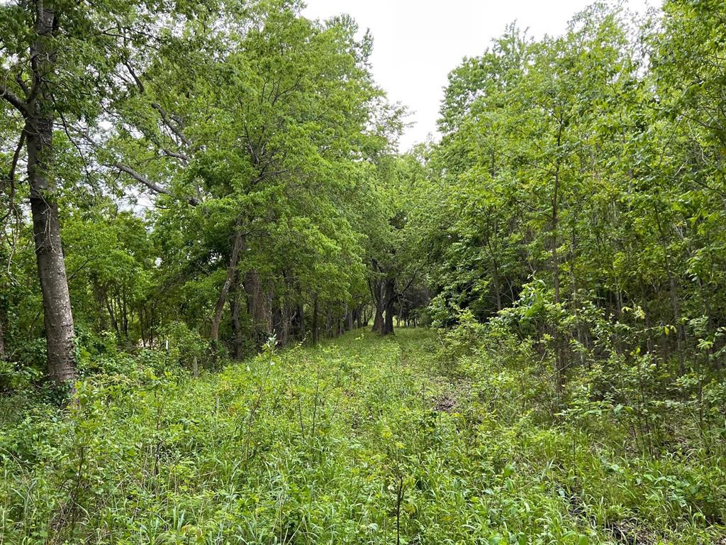 24200 County Road Roxton, TX 75477 - Photo 10 of 23