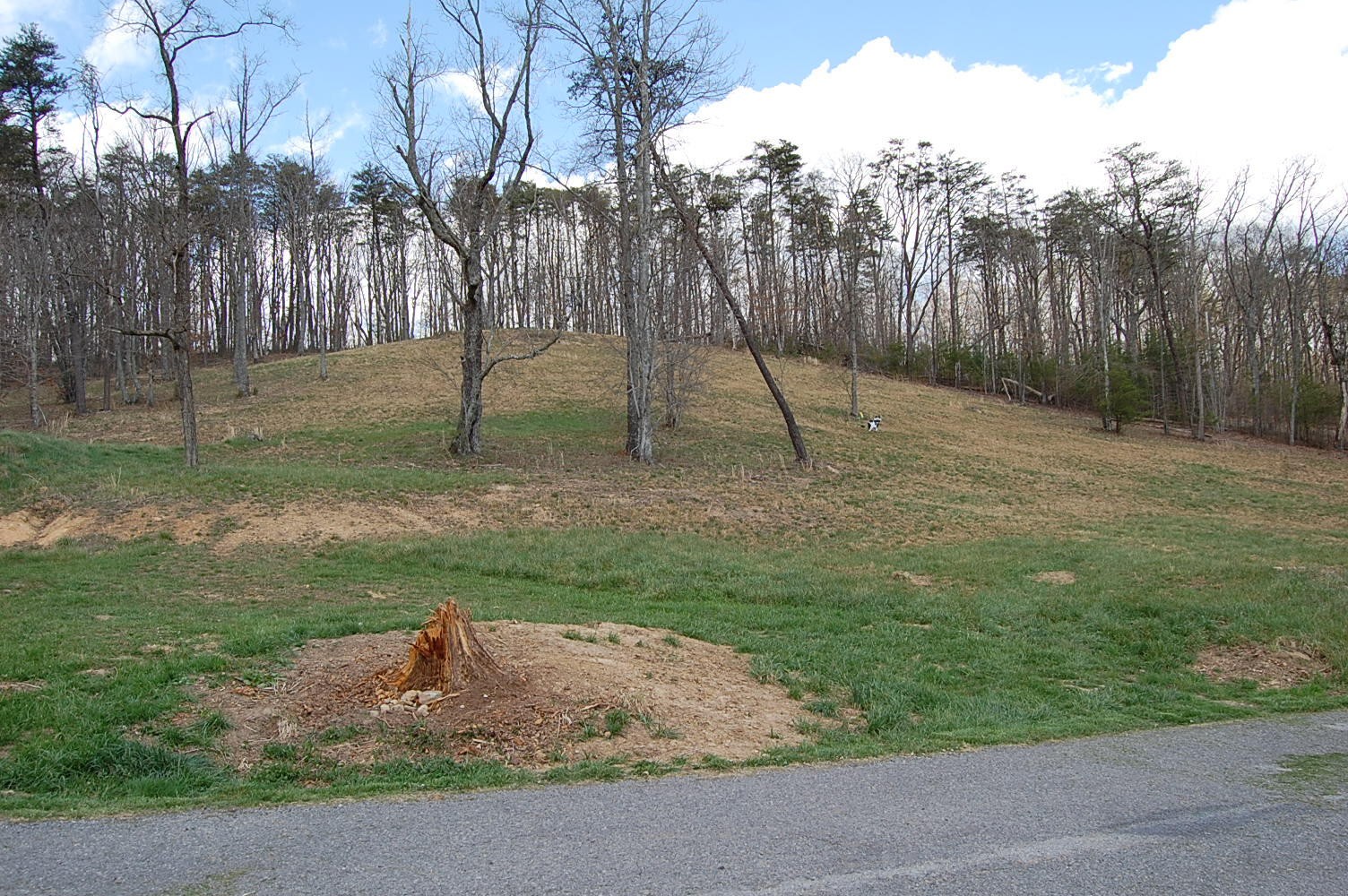 0 Bennie Camp Road Dunlap, TN 37327 - Photo 4 of 32 Gallery Image 4
