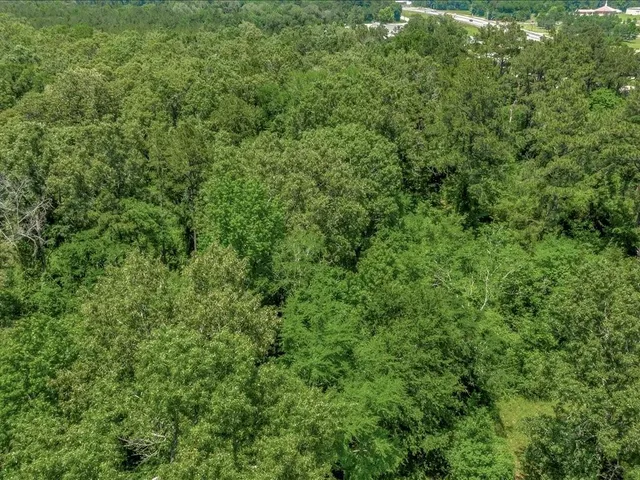 a view of a lush green forest with lots of trees