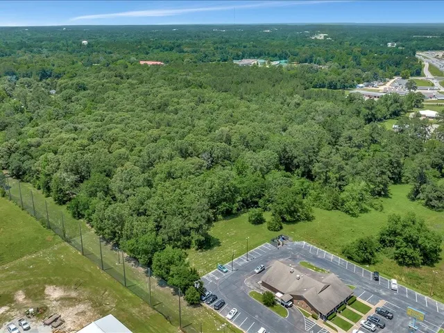 a view of a city with lush green forest