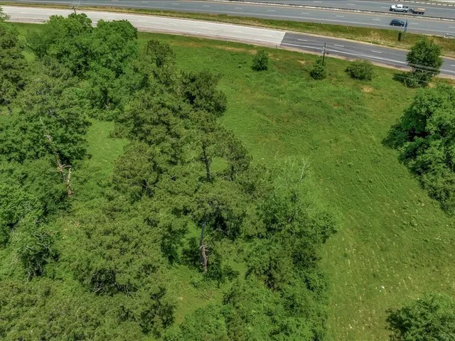 a view of a garden from a building