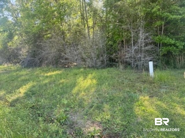 0 Clearview Road Flomaton, AL 36441 - Photo 5 of 6 View of yard featuring a wooded view