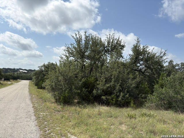 Lot 2025 Split Ridge Spring Branch, TX 78070 - Photo 3 of 35