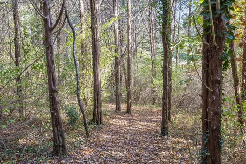 a view of a lake view
